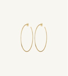 Golden Brass Long Round Earrings