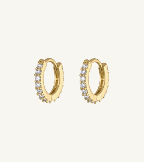 Solid Gold Medium Hoop Earrings