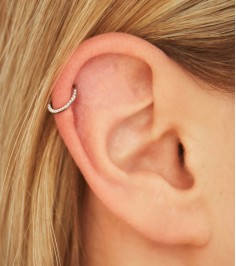 Cartilage Earrings